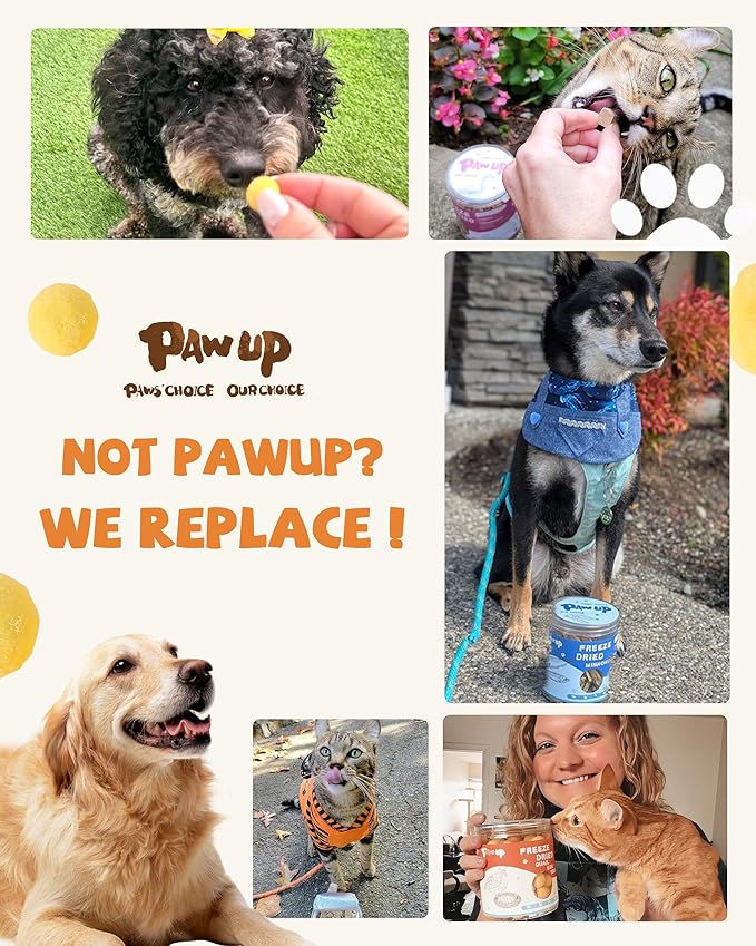 PAWUP Freeze Dried Cat & Dog Treats, Natural Quail Egg Yolk, Single Ingredient, High-Protein Pet Snacks for Skin & Coat Health, No Artificial Additives, 9.2 oz