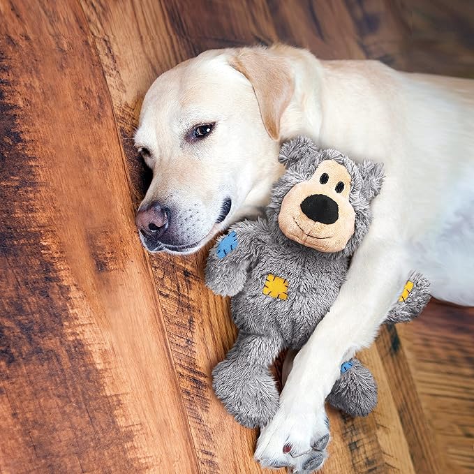 KONG - Wild Knots Bear - Internal Knotted Ropes and Minimal Stuffing for Less Mess (Assorted Colors) - For X-Small Dogs