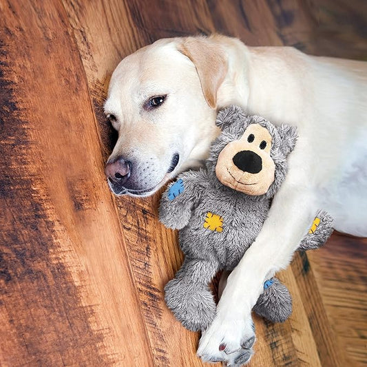 KONG - Wild Knots Bear - Internal Knotted Ropes and Minimal Stuffing for Less Mess (Assorted Colors) - For X-Small Dogs