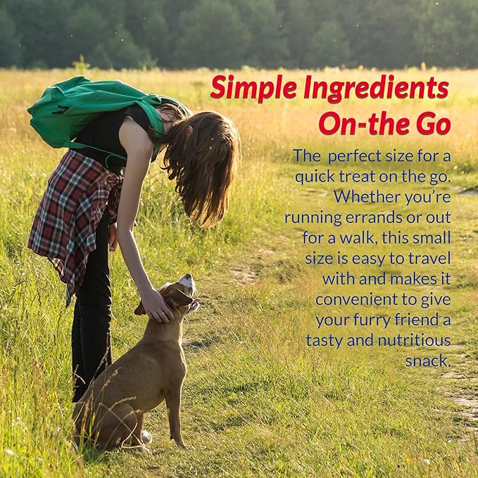 INABA Churu Meal Topper for Dogs, Complete & Balanced, Creamy, Lickable Purée Dog Food Topper, 0.5 Ounce Tube, 12 Tubes (4 per Pack) Chicken Recipe