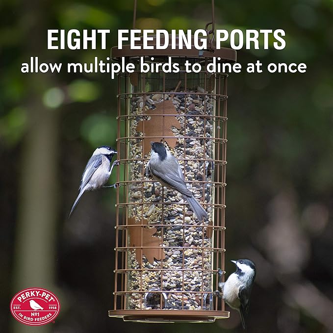 Perky-Pet Squirrel Stumper Wild Bird Feeder - Keep Squirrels Out - 8 Feeding Ports for Wild Birds - 3 lb Wild Bird Seed Capacity - 114B, Copper - Decor for Outdoors