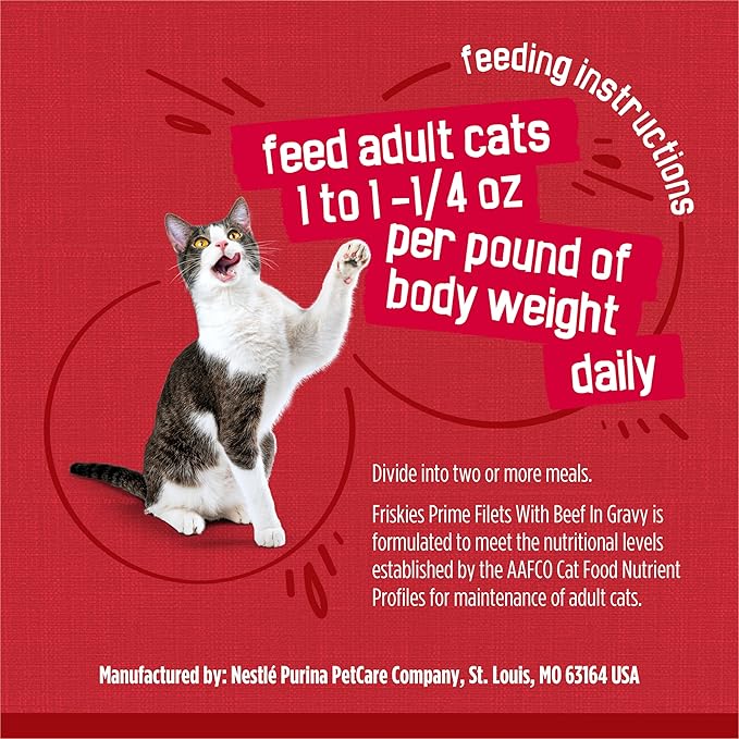 Purina Friskies Prime Filets with Beef in Wet Cat Food Gravy - (Pack of 24) 5.5 oz. Cans
