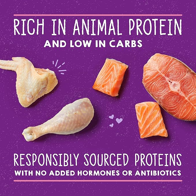 Stella & Chewy's Carnivore Cravings Savory Shreds Cans – Grain Free, Protein Rich Wet Cat Food – Cage-Free Chicken & Wild-Caught Salmon Recipe – (2.8 Ounce Cans, Case of 24)
