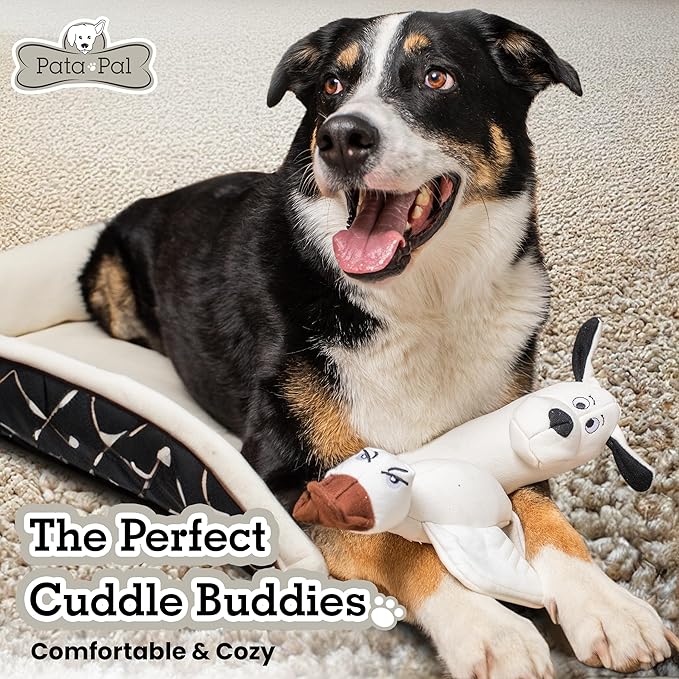 2-Pack Eco-Friendly Durable Squeaky Dog Toys – Cotton Canvas Interactive Chew Toy Set – Ducky & Dawgy (White)