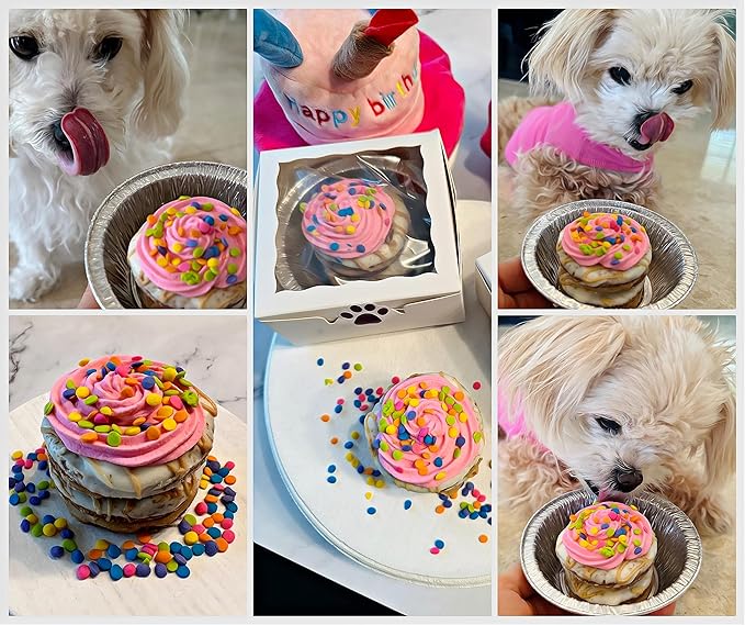 Dog Birthday Cake- Pink Petit Four Cake- Bad to the Bone by Dezicakes- Perfect Dog Party Cake Boxed & Decorated- Natural Ingredients -Peanut Butter Apple Cinnamon Birthday Cake- Handmade in USA