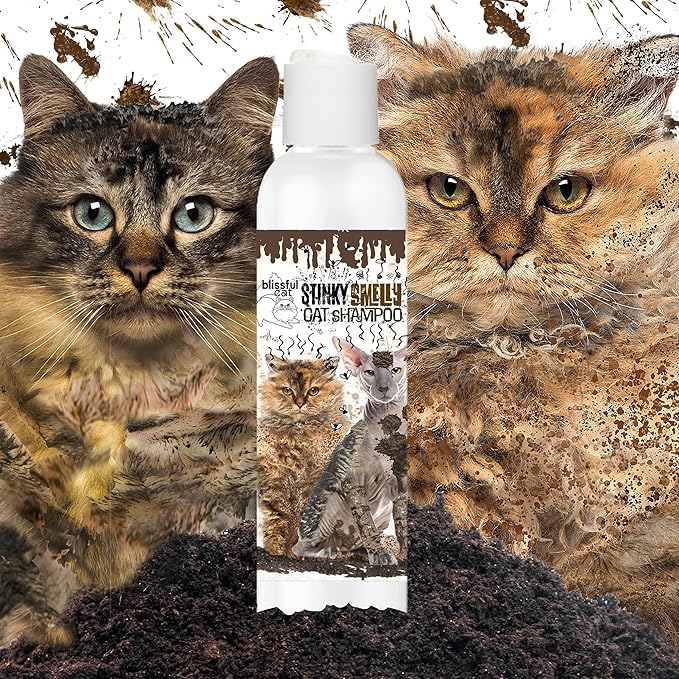 The Blissful Dog Stinky Smelly Cat Shampoo, 4-Ounce