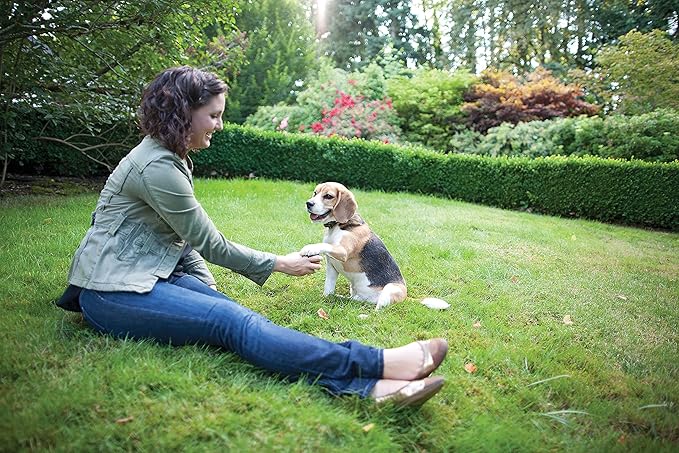 PetSafe Elite Little Dog In-Ground Fence Receiver Collar, for Dogs Over 5lb, Waterproof with Tone and Static Correction