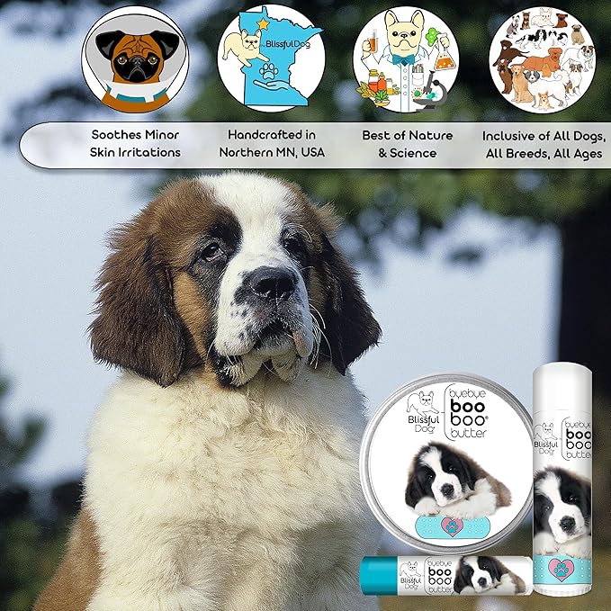 The Blissful Dog BB-SAINT-16OZ Saint Bernard Boo Butter, 16 oz.