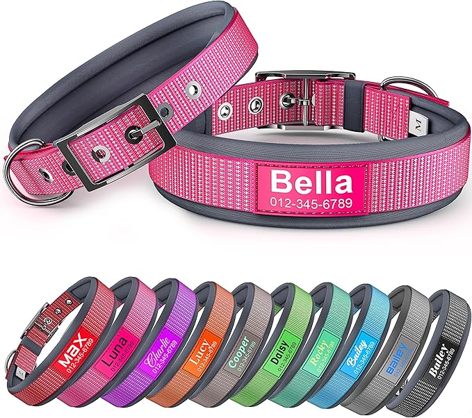 Personalized Dog Collar with Name & Phone Number - Durable Metal Buckle, Ultra-Visible Fully Reflective, and Wide Comfort-Fit Padded Neoprene for Small, Medium, Large Dogs and Cats
