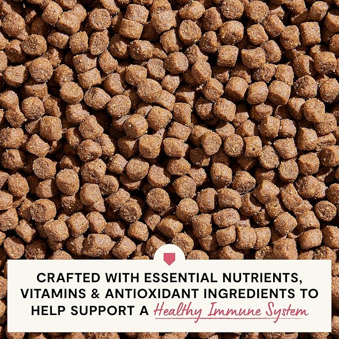 Open Farm, Skin & Coat Health Dog Food, Veterinarian Formulated Kibble with Salmon Oil and Vitamin E to Support Healthy Skin & A Shiny Coat, Wild-Caught Salmon & Oatmeal Recipe, 22lb Bag