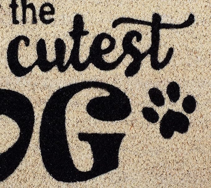 DII Pet Print Collection Natural Coir Doormat, 17x29, World's Cutest Dog